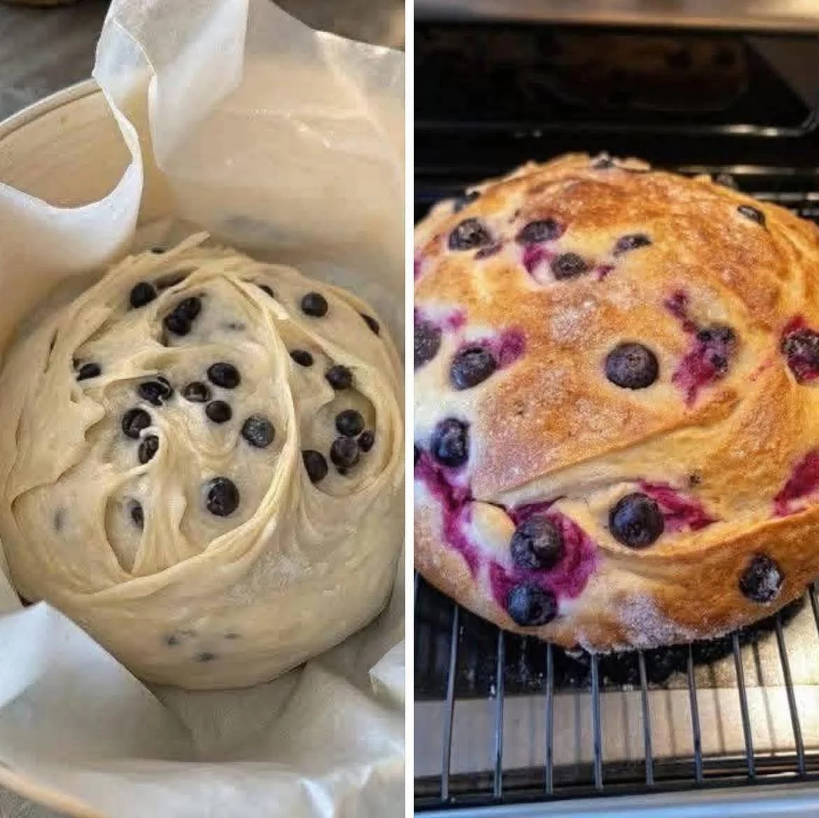 Blueberry Cream Cheese Loaf: A Delicious Slice of Heaven Delicious Blueberry Cream Cheese Loaf garnished with fresh blueberries.
