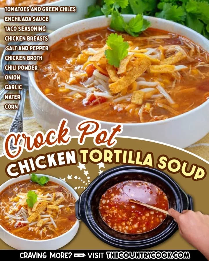 Delicious Crock Pot Chicken Tortilla Soup served in a bowl with toppings.