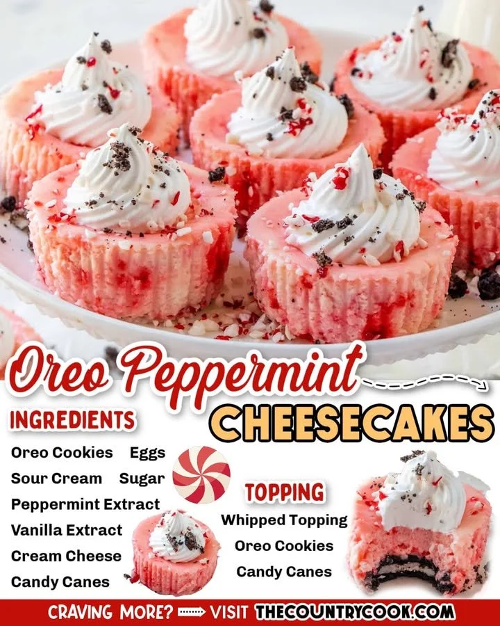 Oreo Peppermint Mini Cheesecakes Oreo peppermint mini cheesecakes topped with crushed cookies and peppermint