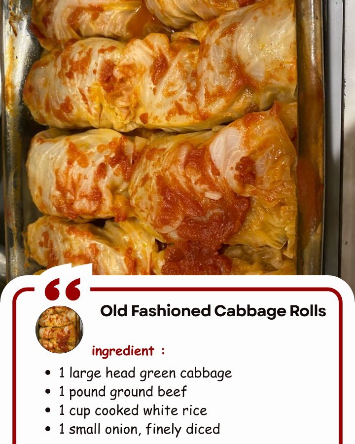 Old Fashioned Cabbage Rolls